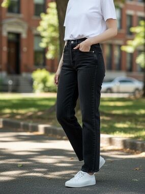 Goldsign women’s jeans size 27 straight leg high rise black classic